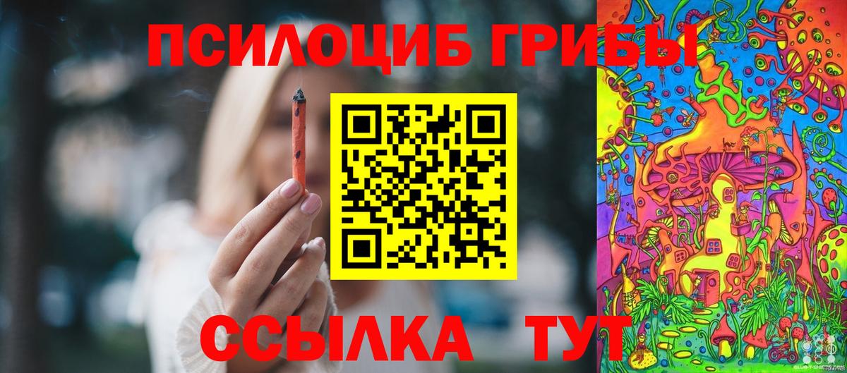 Архангельск  Галлюциногенные грибы MAGIC MUSHROOMS  Псилоцибиновые грибы Cubensis  Вход с VPN 