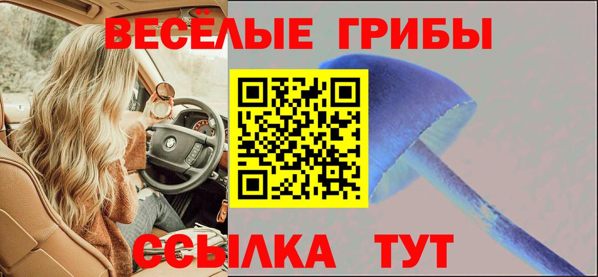 Галлюциногенные грибы MAGIC MUSHROOMS Архангельск